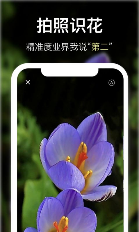 宜植惠识别花草app图1