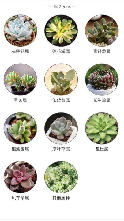 植物君app图3