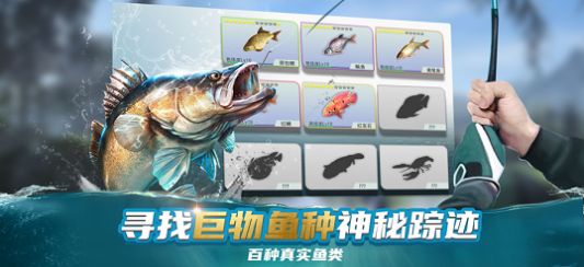 钓鱼大咖巨物游戏图3