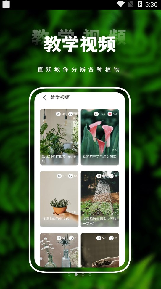 害羞草生活视频植物科普app手机版图3