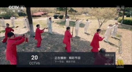 飞梭TV app图片3