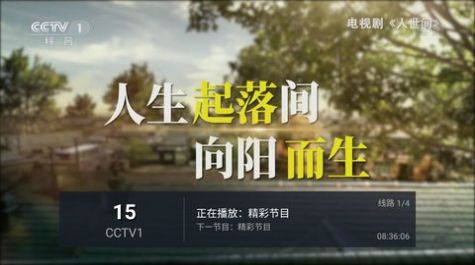 飞梭TV app图3