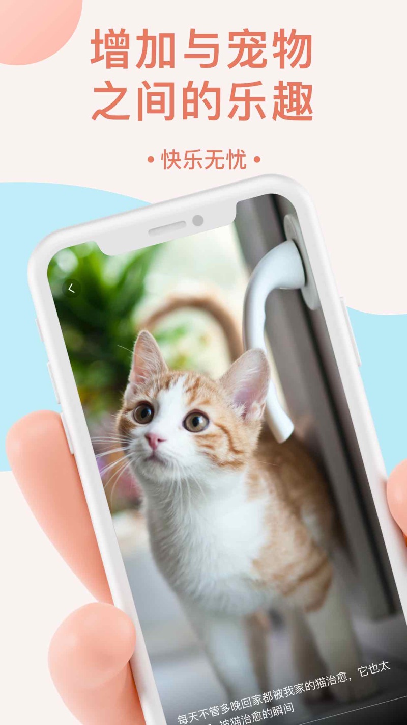 猫语翻译器app图2