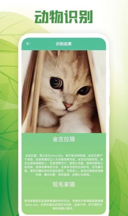 花卉百科图2