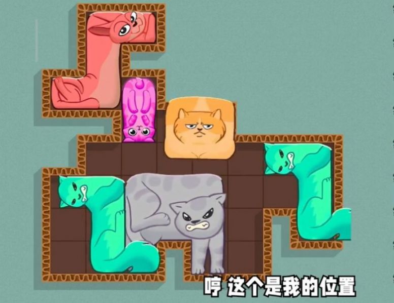 小猫挤一挤游戏安卓版图1