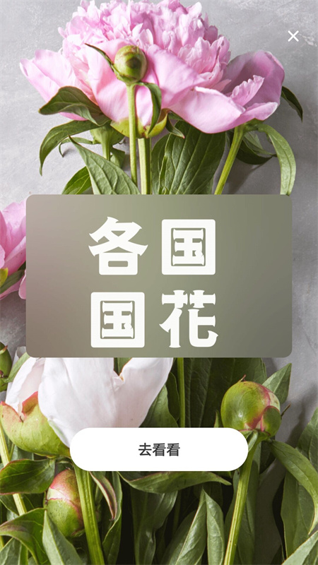 照片转动漫app手机版图3