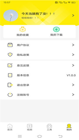 白狐壁纸视频app官方版图1