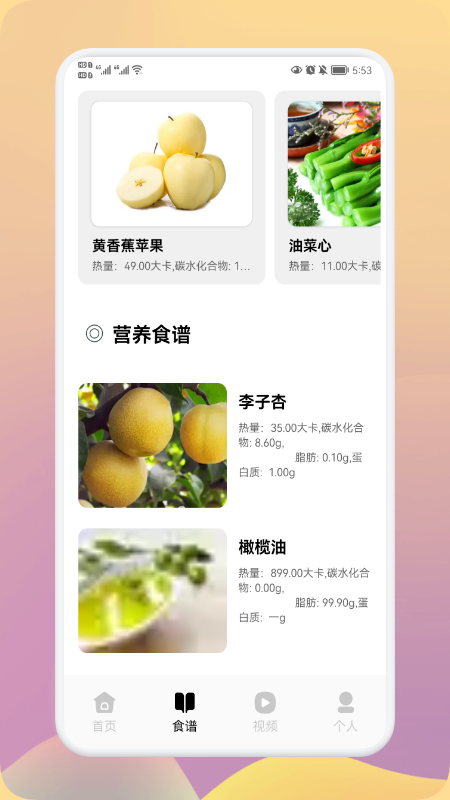 瘦身计划大师app手机版图1