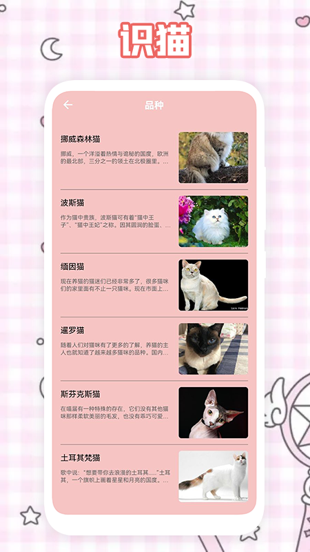 养猫计划翻译app安卓版图2