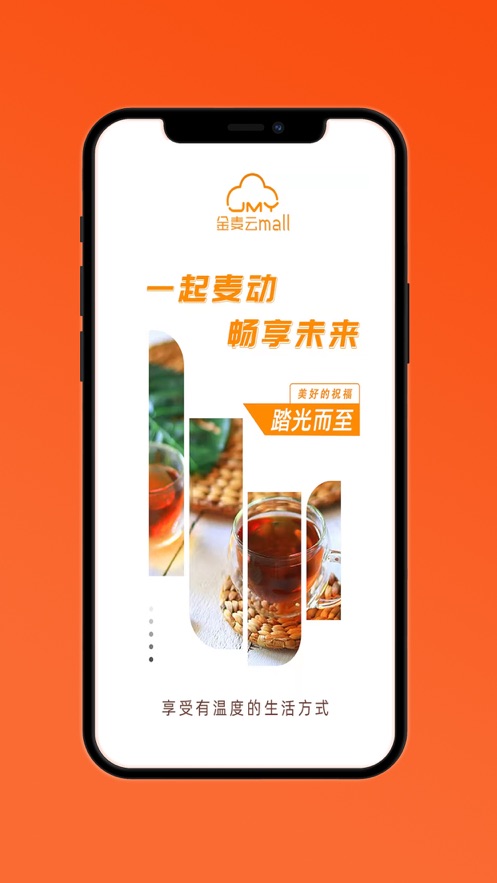 金麦云Mall电商购物APP手机版图1