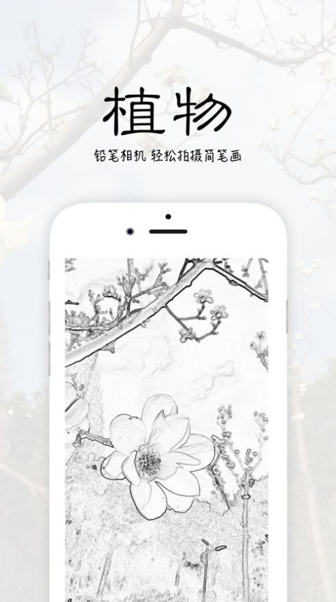 铅笔相机app苹果版图2