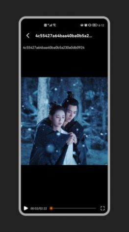 花季视频播放器app图2