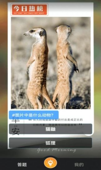 赚米短视频app官方版图2