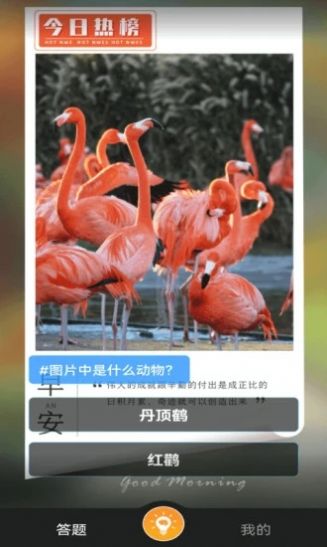 赚米短视频app官方版图1