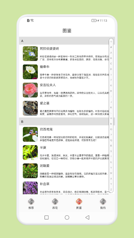 植物识别百科图2