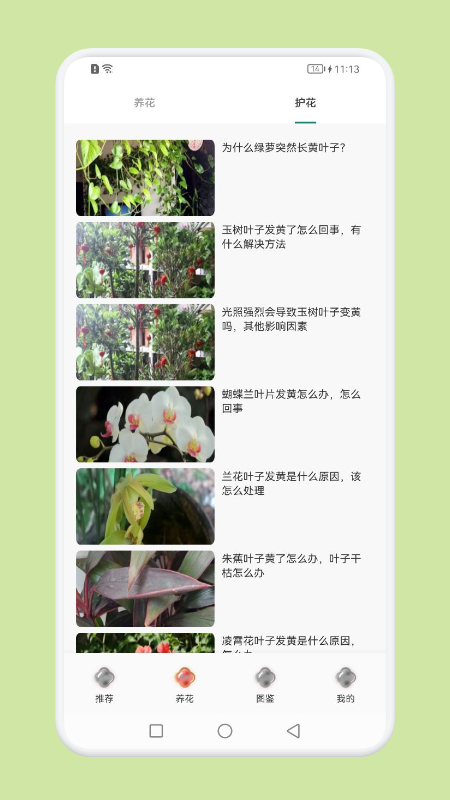 植物识别百科图3