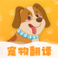 波奇猫语交流器app官方版