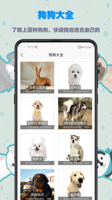 训狗教程app图2