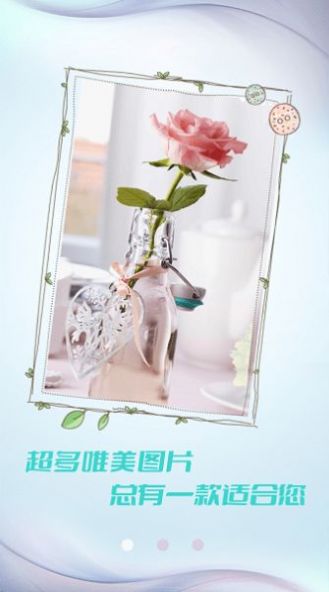 小猪壁纸大全app图片1