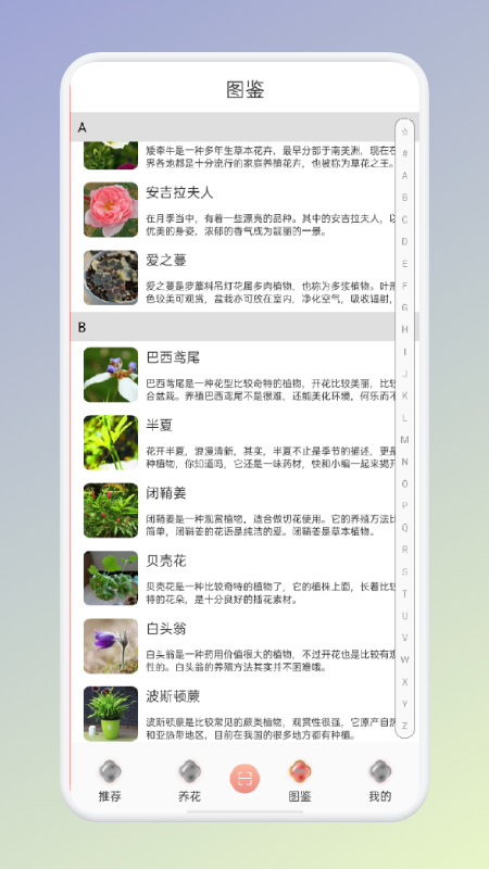 拍照识花识别植物app官方版图2