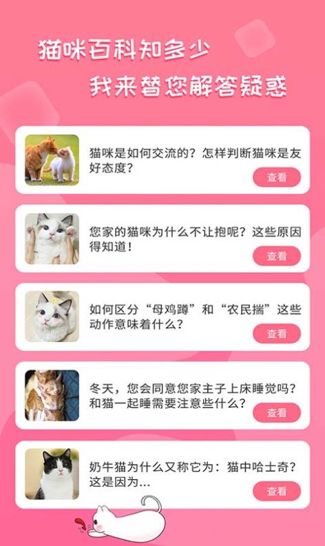 人猫翻译神器app官方版图1