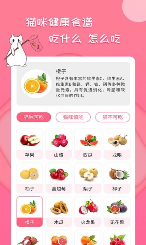 人猫翻译神器app官方版图3