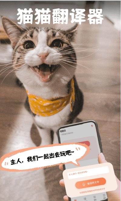 pet猫翻译图2