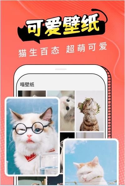 pet猫翻译app图片2