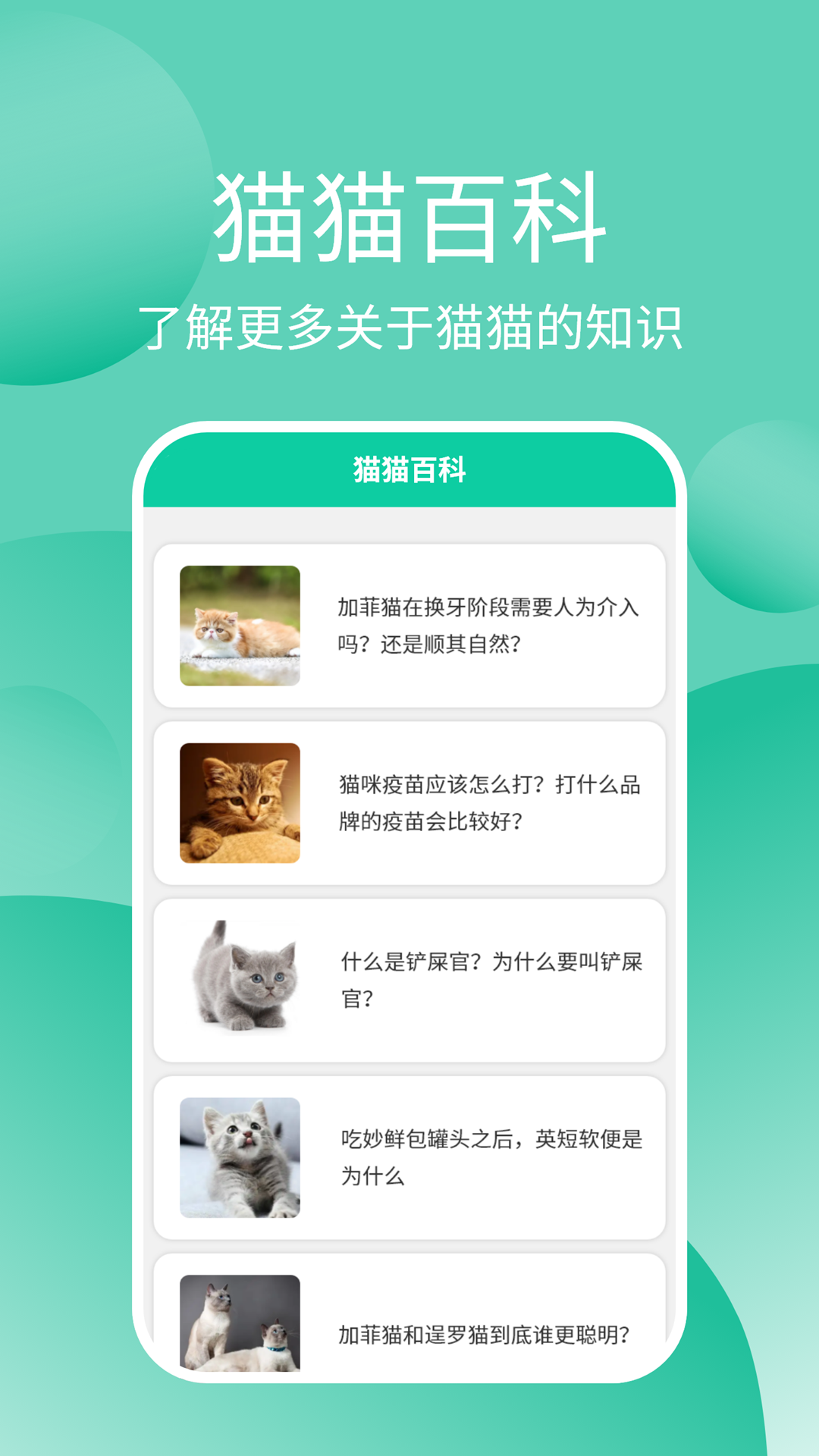 猫猫交流器app官方版图2