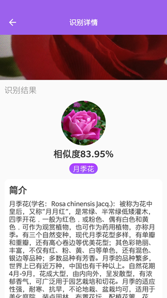 随手拍照识别app官方最新版图2
