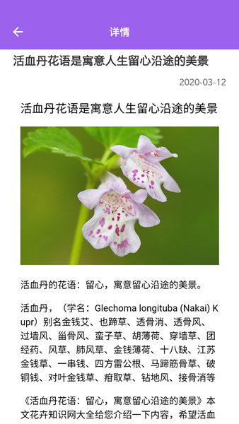 随手拍照识别app官方最新版图3