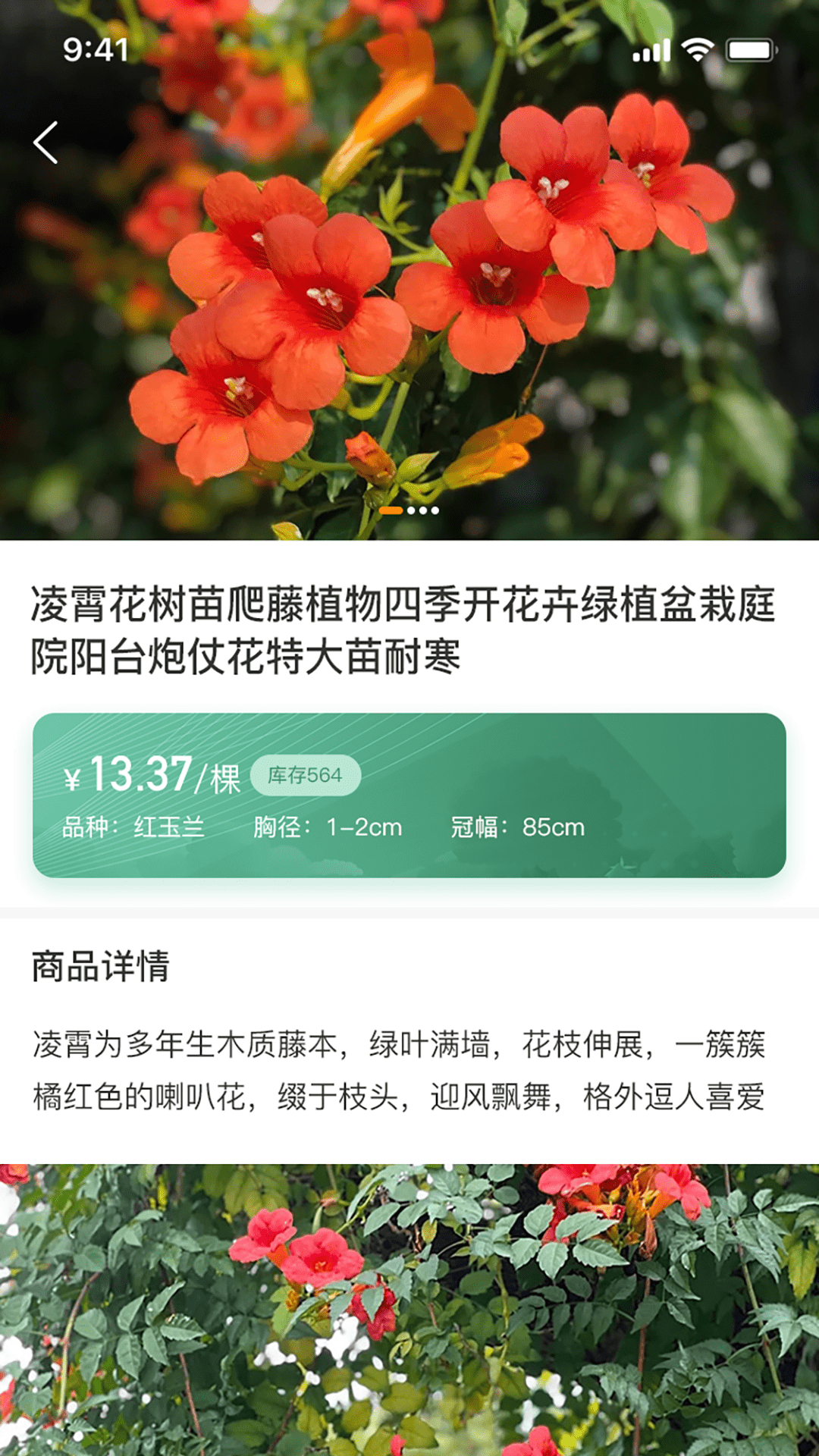 一千零一叶app官方版图2