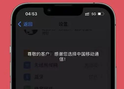 iOS15.6描述文件图片2