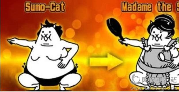 猫咪大战争+版图3