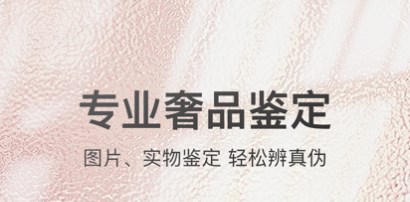 奢侈品鉴定app排行榜前十合集