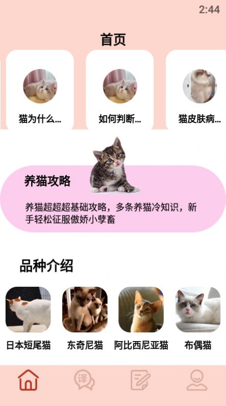 摸摸小猫app官方版图3