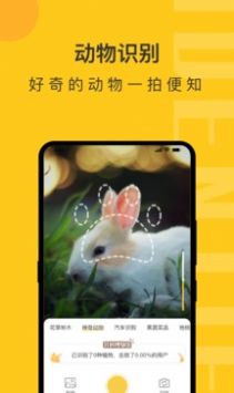 拍照识物精灵app官方版图1