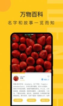 拍照识物精灵app官方版图3