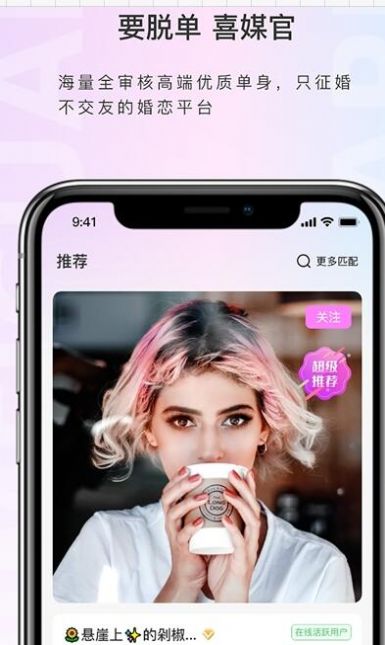 喜媒官图2