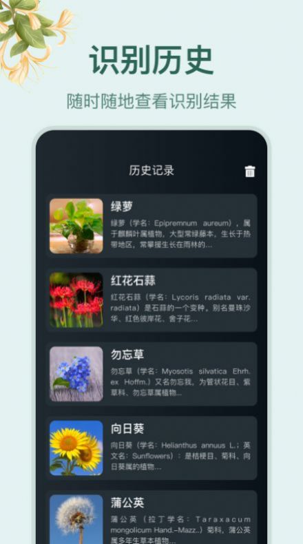 花草百科识别app图1