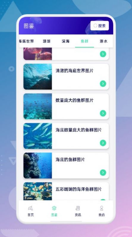 海来了手机版图2
