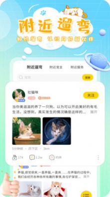 灵宠大陆安卓版图3