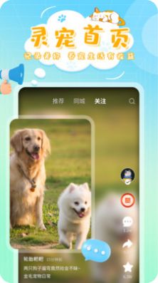 灵宠大陆安卓版图2