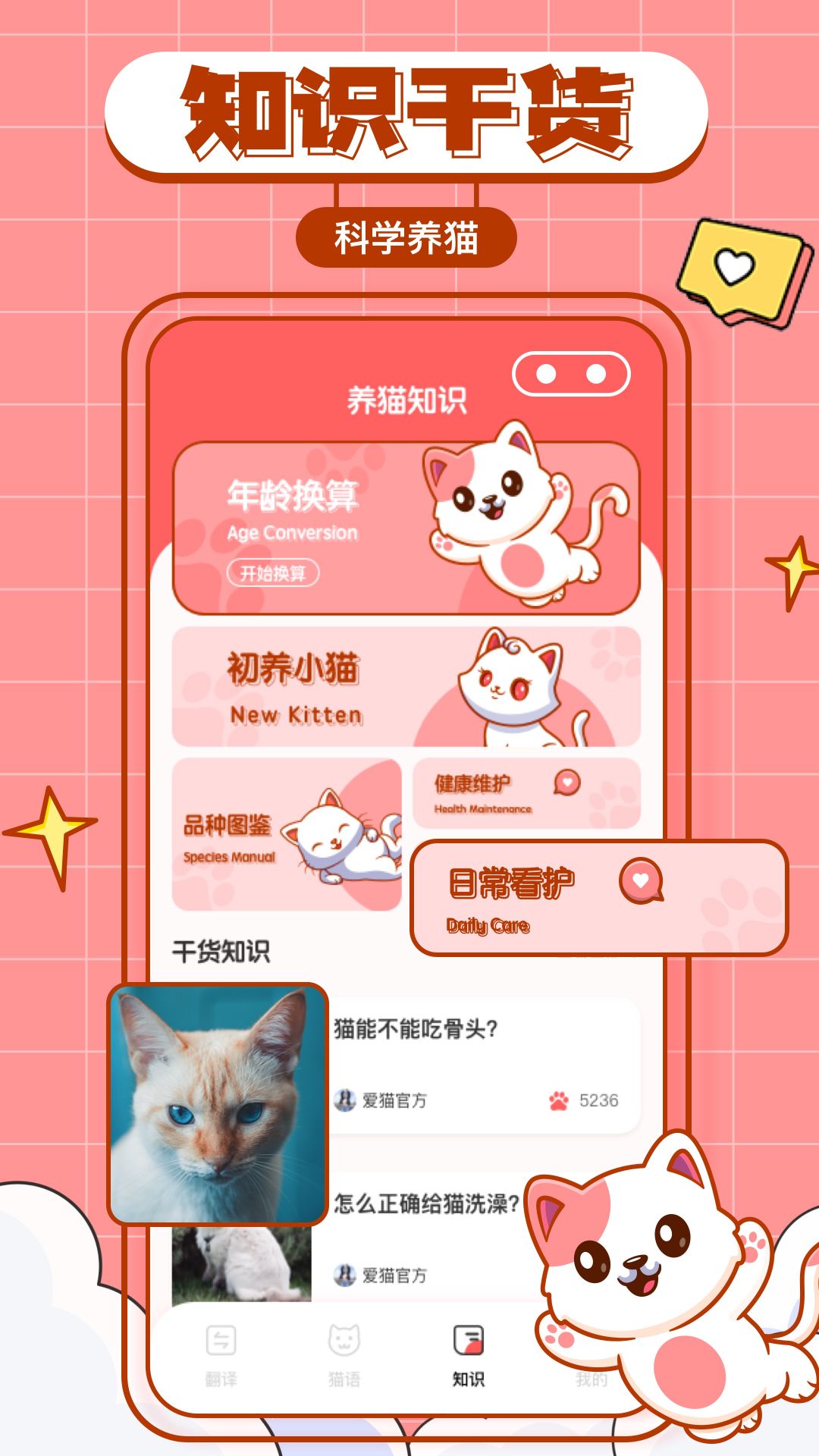 猫咪翻译物语app官方版图2