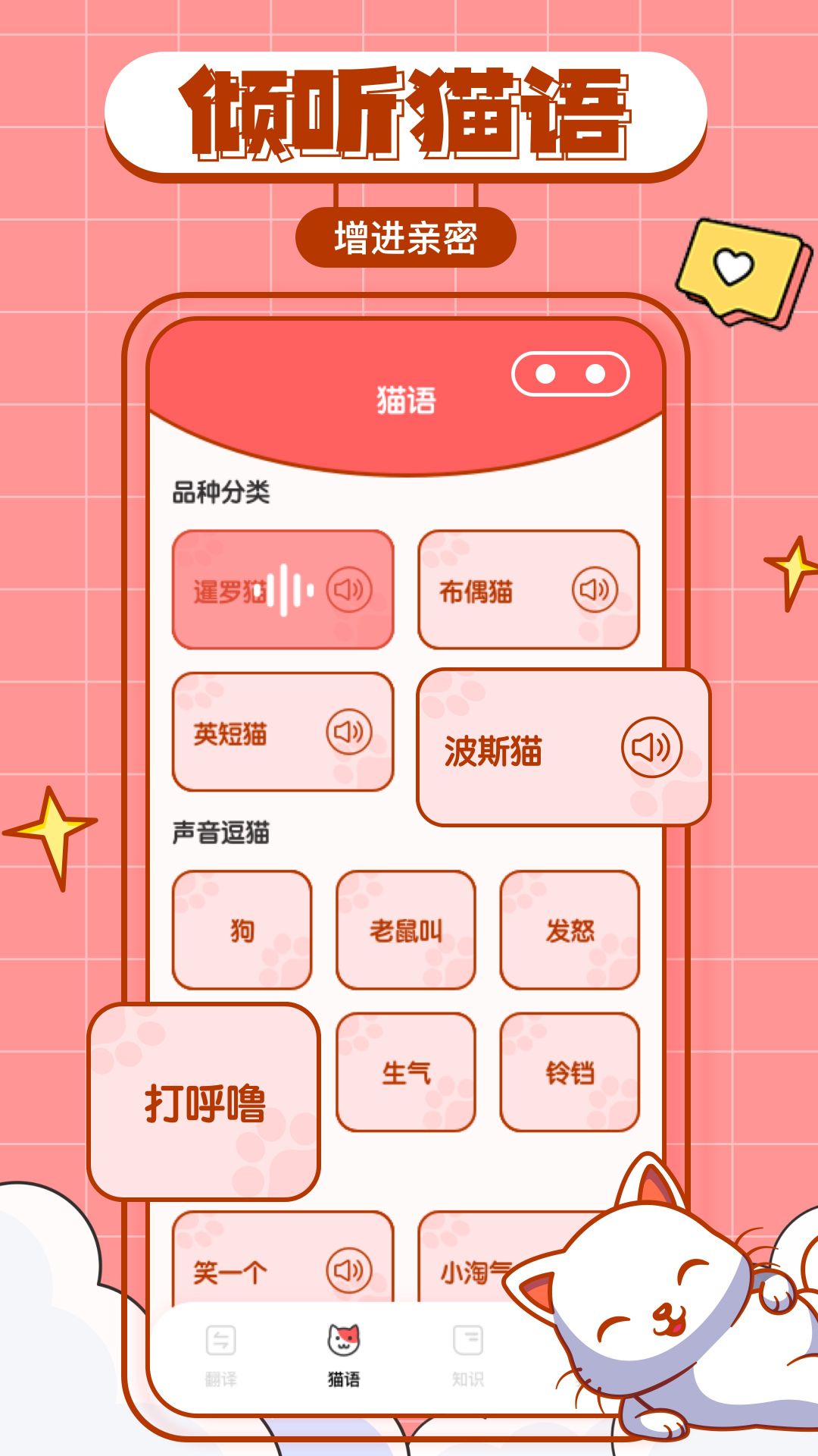 猫咪翻译物语app官方版图1