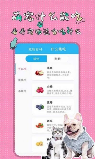 萌宠交流翻译器app最新版图1