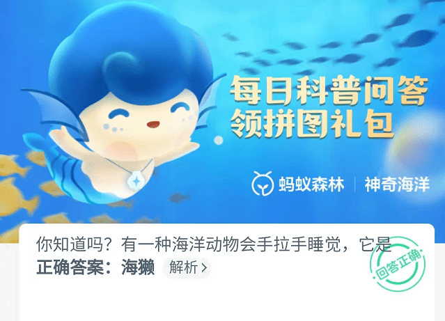 支付宝9月26日神奇海洋答案解析-有一种海洋动物会手拉手睡觉,它是图片1