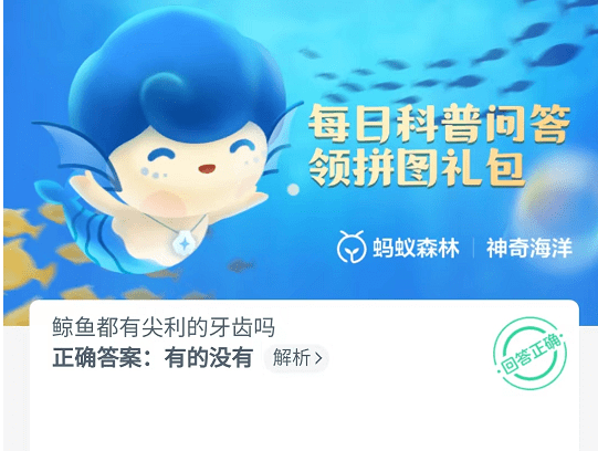 鲸鱼都有尖利的牙齿吗-支付宝9月29日神奇海洋最新答案图片1