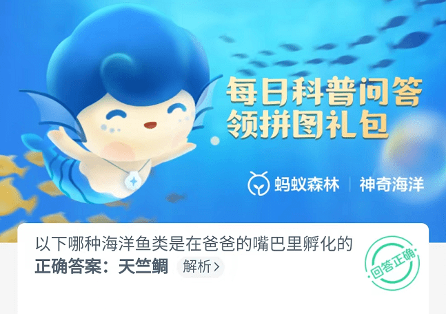 以下哪种海洋鱼类是在爸爸的嘴巴里孵化的-支付宝9月30日神奇海洋正确答案图片1