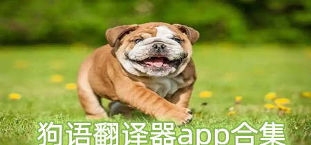 狗语翻译器app合集-狗语翻译器app有哪些